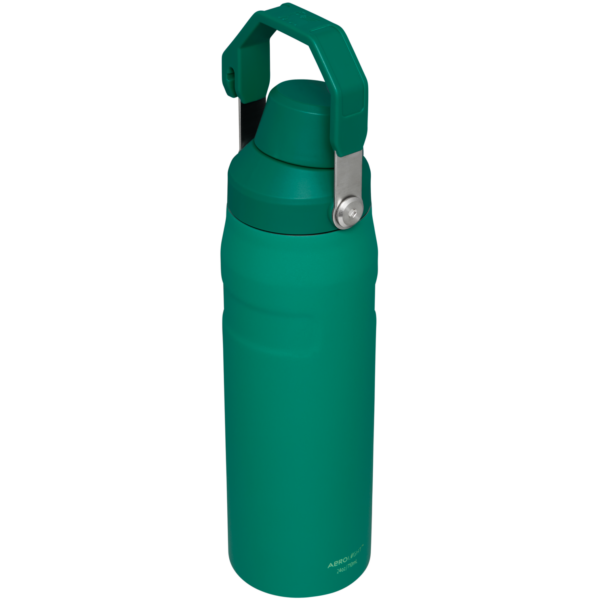 IceFlow™ Bottle with Fast Flow Lid | 24 OZ - Image 33