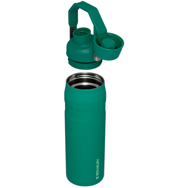 IceFlow™ Bottle with Fast Flow Lid | 24 OZ - Image 34