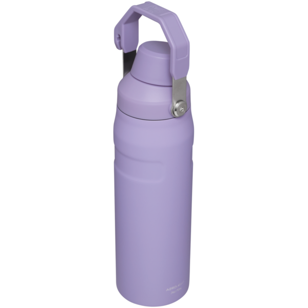IceFlow™ Bottle with Fast Flow Lid | 24 OZ - Image 30