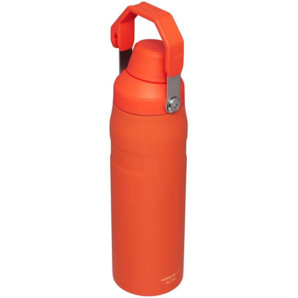 IceFlow™ Bottle with Fast Flow Lid | 24 OZ - Image 23