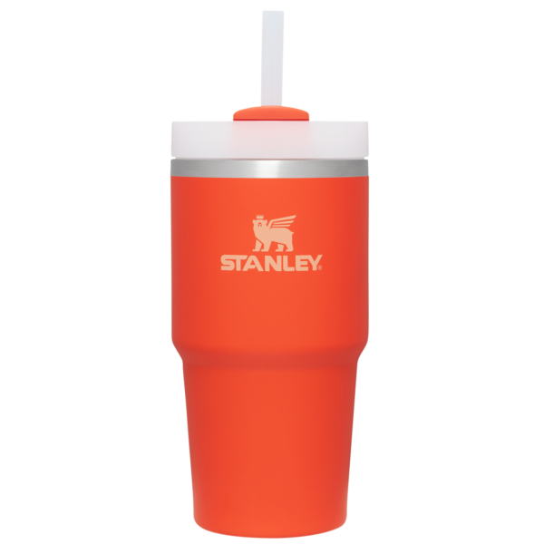 The Quencher H2.0 FlowState™ Tumbler | 20 OZ - Stanley Create - Image 34