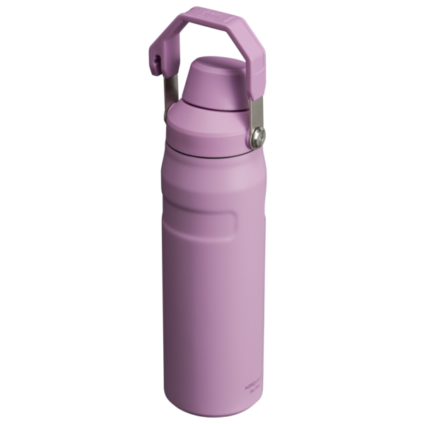IceFlow™ Bottle with Fast Flow Lid | 24 OZ - Image 48