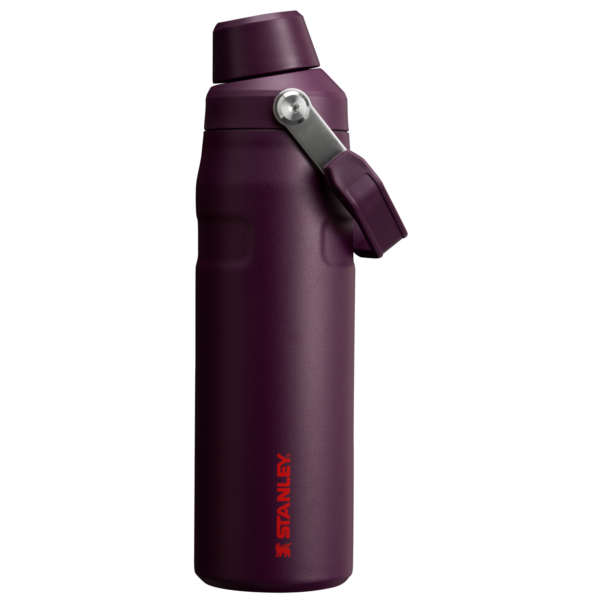 IceFlow™ Bottle with Fast Flow Lid | 24 OZ - Image 40