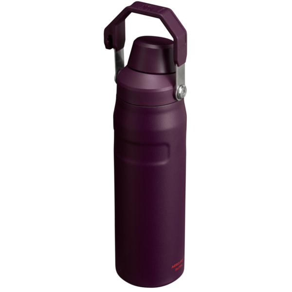 IceFlow™ Bottle with Fast Flow Lid | 24 OZ - Image 38