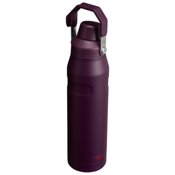 IceFlow™ Bottle with Fast Flow Lid | 36 OZ - Image 17