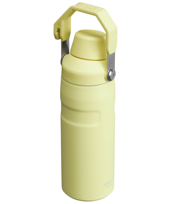 IceFlow™ Bottle with Fast Flow Lid | 16 OZ - Image 27