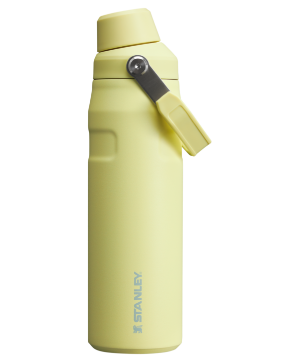 IceFlow™ Bottle with Fast Flow Lid | 24 OZ - Image 52