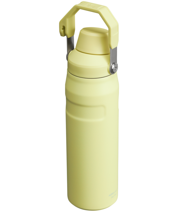 IceFlow™ Bottle with Fast Flow Lid | 24 OZ - Image 50