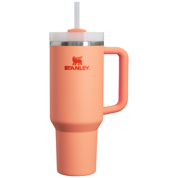 The Quencher H2.0 FlowState™ Tumbler  | 40 OZ - Stanley Create - Image 132