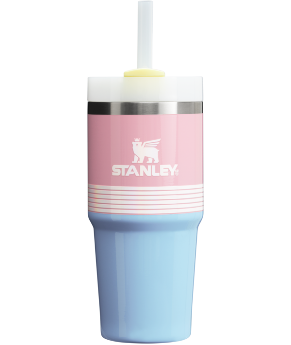 The Quencher H2.0 FlowState™ Tumbler  | 14 OZ (Vault)