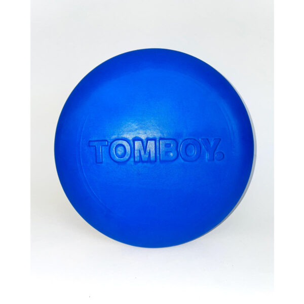 THE FRISBEE