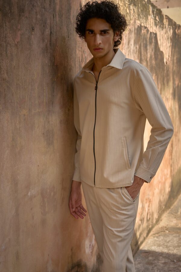 Pinstripe Zip Shirt - Image 9