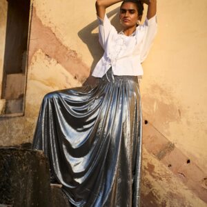 Fit & Flare Silver Skirt