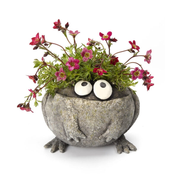 Animal Planters - Image 11