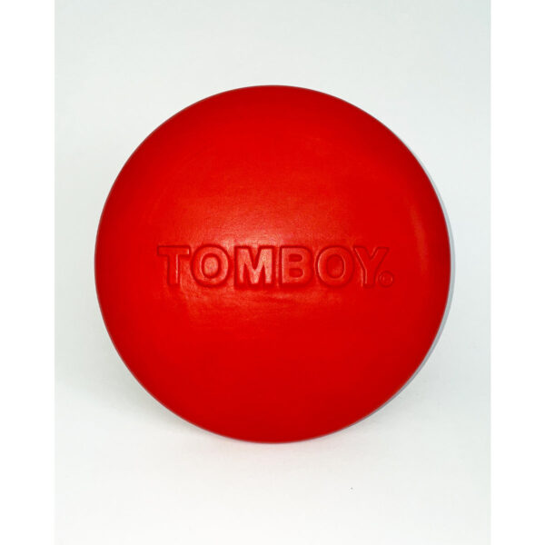 THE FRISBEE - Image 2