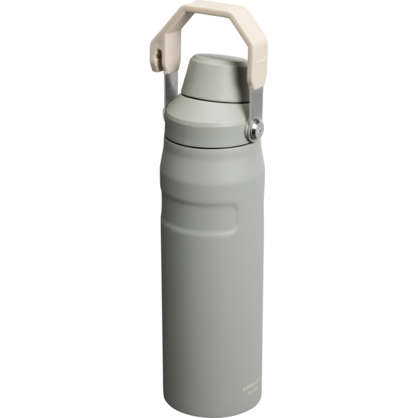 IceFlow™ Bottle with Fast Flow Lid | 24 OZ - Image 66
