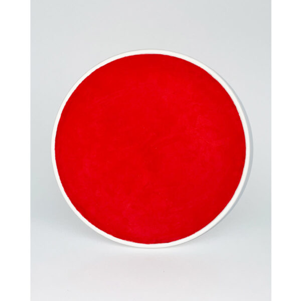 THE FRISBEE - Image 8