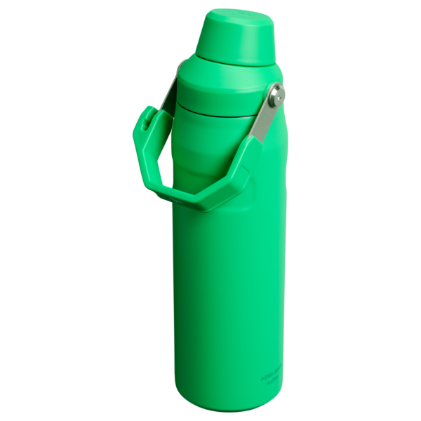 IceFlow™ Bottle with Fast Flow Lid | 24 OZ - Image 64