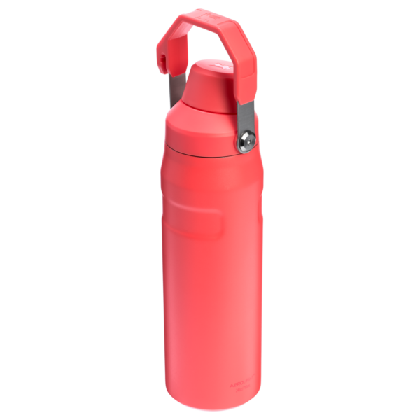 IceFlow™ Bottle with Fast Flow Lid | 24 OZ - Image 89