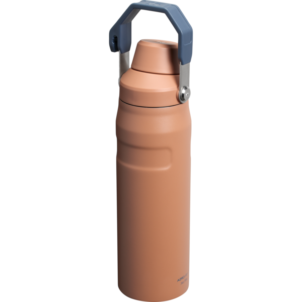 IceFlow™ Bottle with Fast Flow Lid | 24 OZ - Image 77