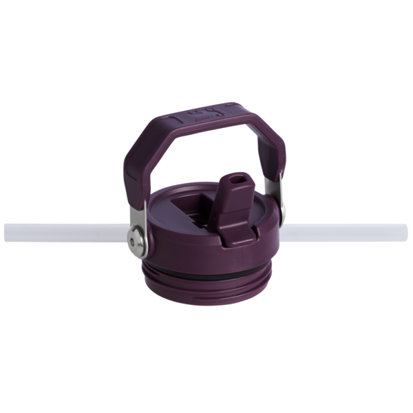 The IceFlow™ Bottle with Flip Straw Lid | 24 oz - Stanley Create - Image 15