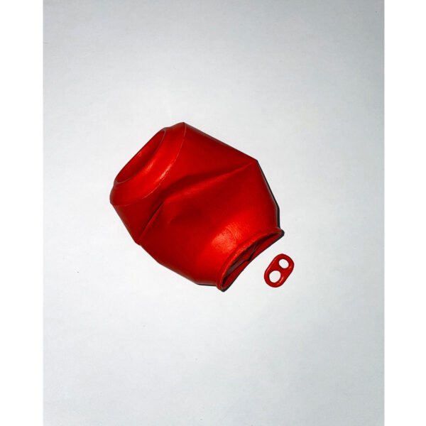 THE CAN - Image 2