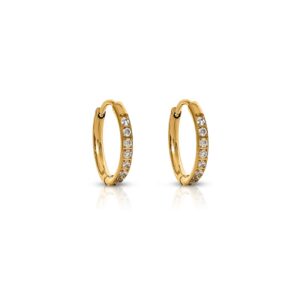 Transition Sleeper Hoop Earrings