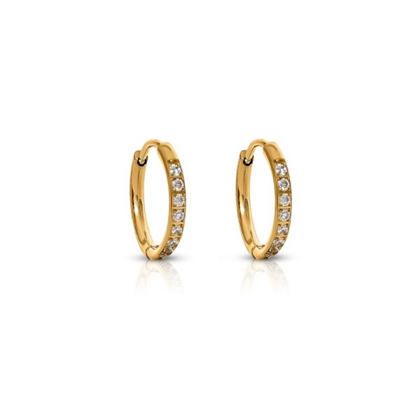Transition Sleeper Hoop Earrings