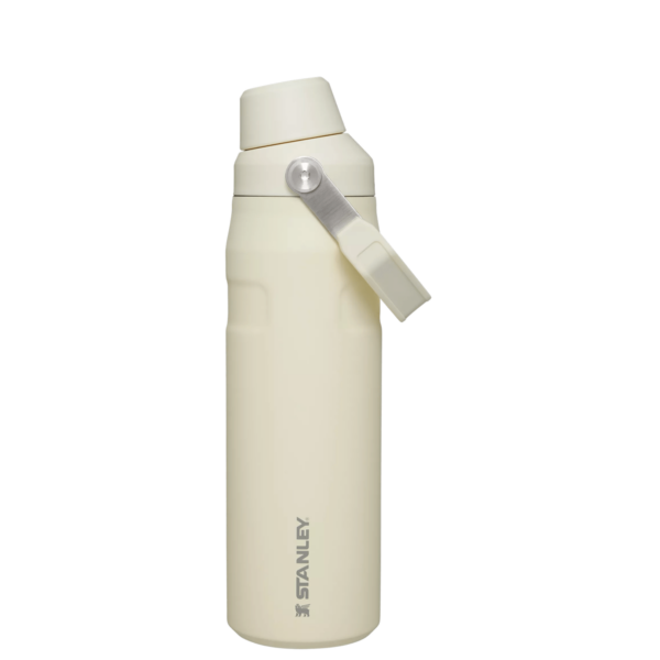 IceFlow™ Bottle with Fast Flow Lid | 24 OZ - Image 15