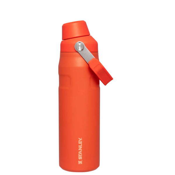 IceFlow™ Bottle with Fast Flow Lid | 24 OZ - Image 25