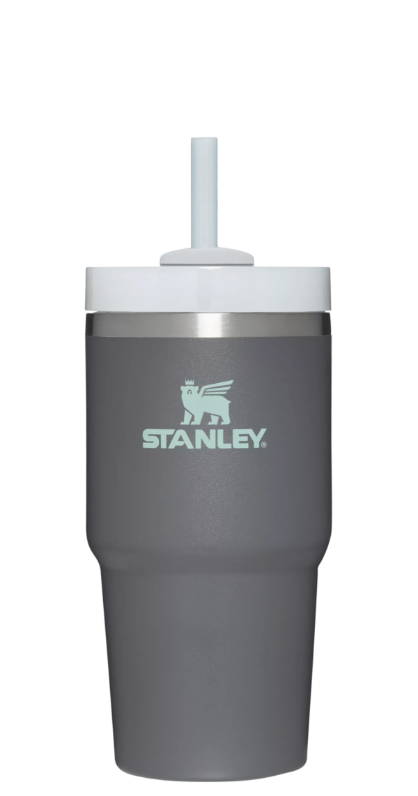The Quencher H2.0 FlowState™ Tumbler | 20 OZ - Stanley Create - Image 28