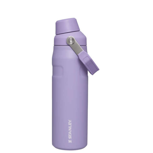 IceFlow™ Bottle with Fast Flow Lid | 24 OZ - Image 29