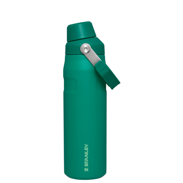 IceFlow™ Bottle with Fast Flow Lid | 24 OZ - Image 32