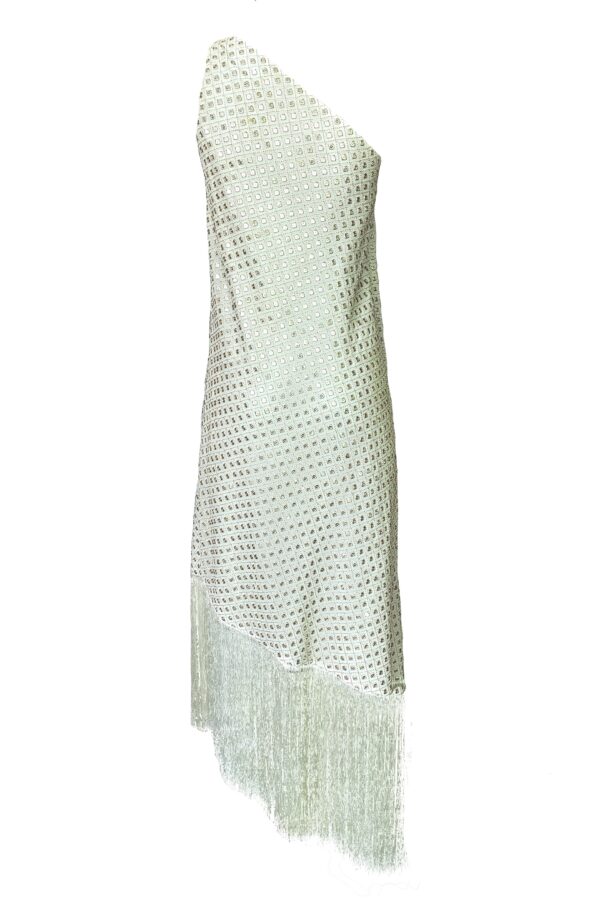 Mirror Sequin Fringe Dress - Image 3