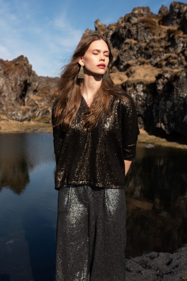 Sequin Boxy Top - Image 4