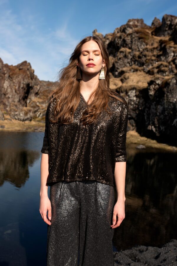 Sequin Boxy Top - Image 5
