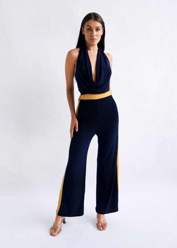 Ri Ri Pants and Halter Cowl Neck Top Set