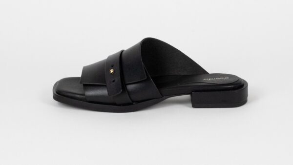 THE ASYMMETRIC SLIDE - Image 2