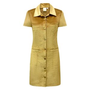 Why Mary Golden Glow Gold Coat/Dress