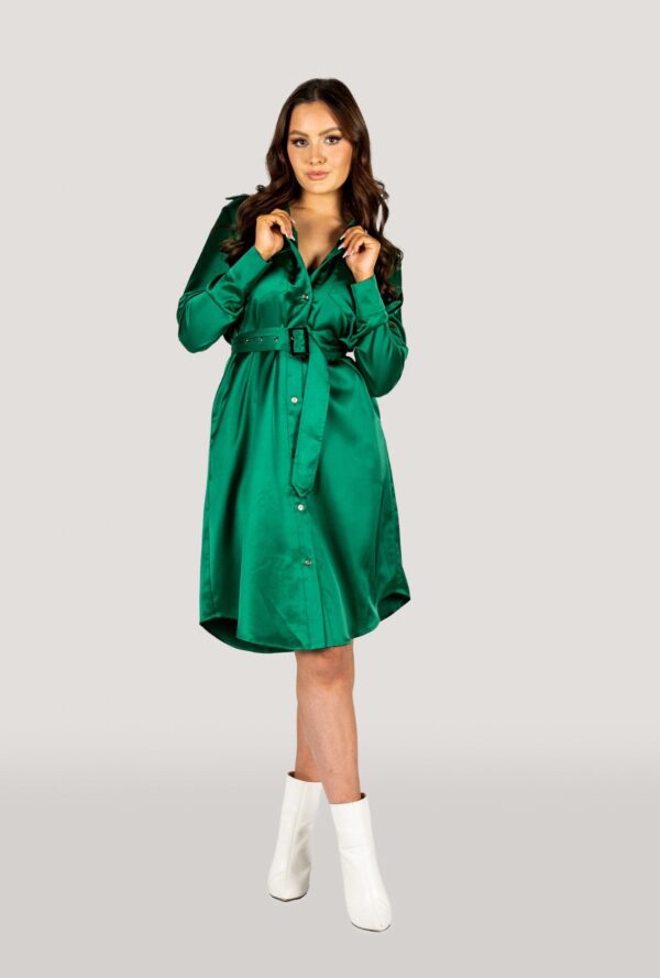 Why Mary Jackie Trench Coat Dress Emerald Green - Image 3