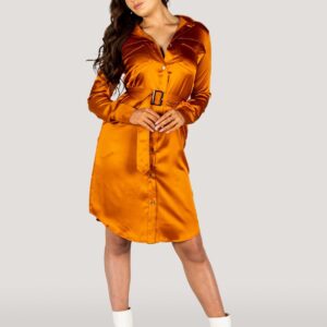 Why Mary Jackie Trench Coat Dress Rusty Orange