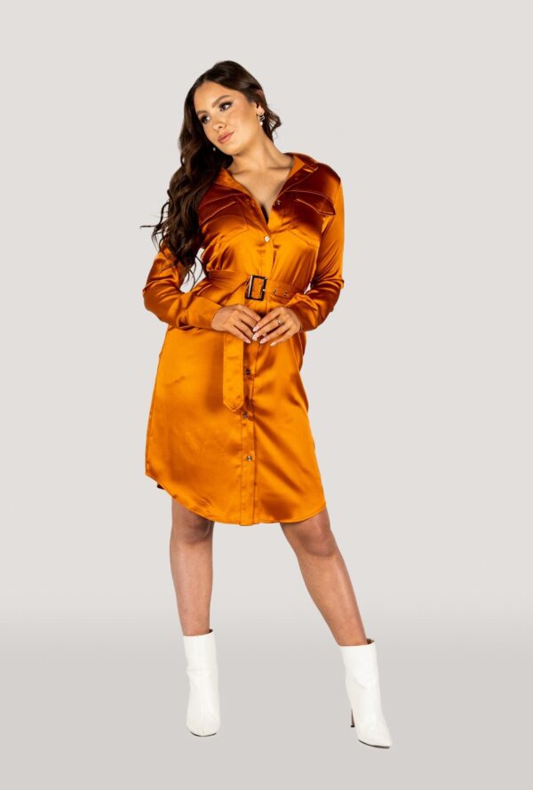 Why Mary Jackie Trench Coat Dress Rusty Orange