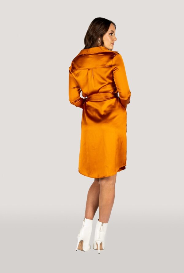 Why Mary Jackie Trench Coat Dress Rusty Orange - Image 3