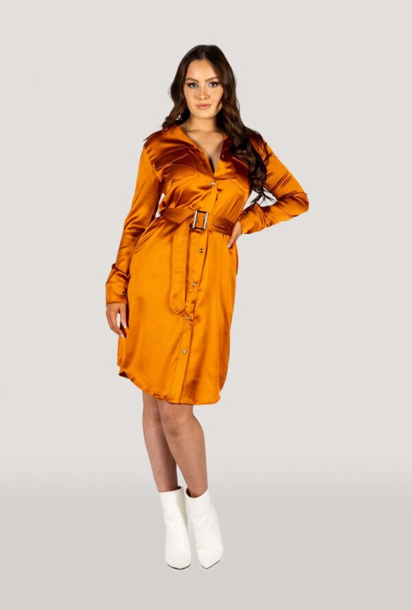 Why Mary Jackie Trench Coat Dress Rusty Orange - Image 4