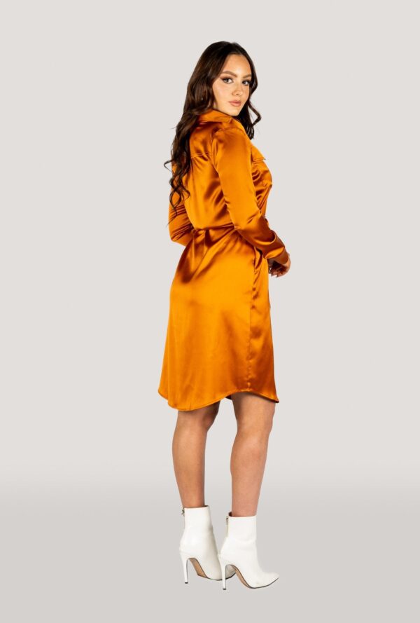 Why Mary Jackie Trench Coat Dress Rusty Orange - Image 2